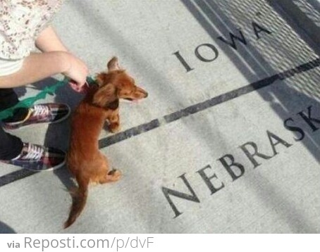 My wiener is so big it stretches from Iowa to Nebraska!