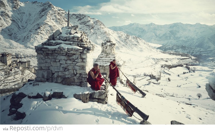 Ladakhi