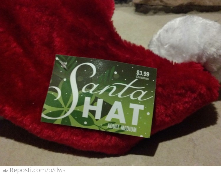 Santa Did What?