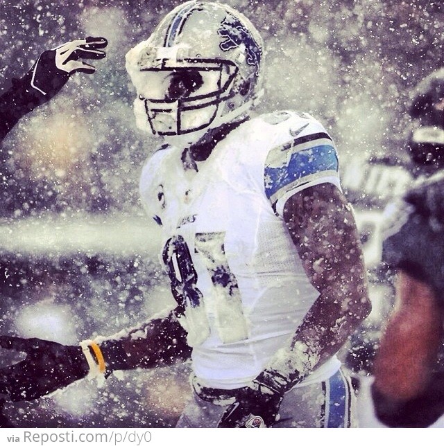 Calvin Johnson with a face full of snow