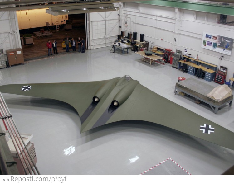 Horten 229