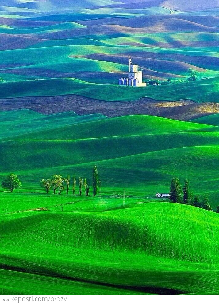 Palouse, Washington