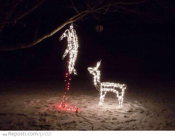 Poor Deer