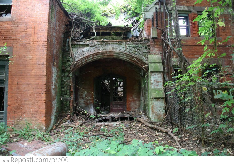 Abandoned for 50 years now, Mother Nature is slowly reclaiming her territory.
