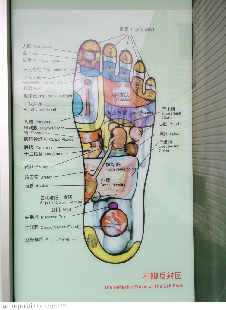 Chinese Foot Phrenology