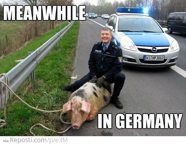 Meanwhile in Germany