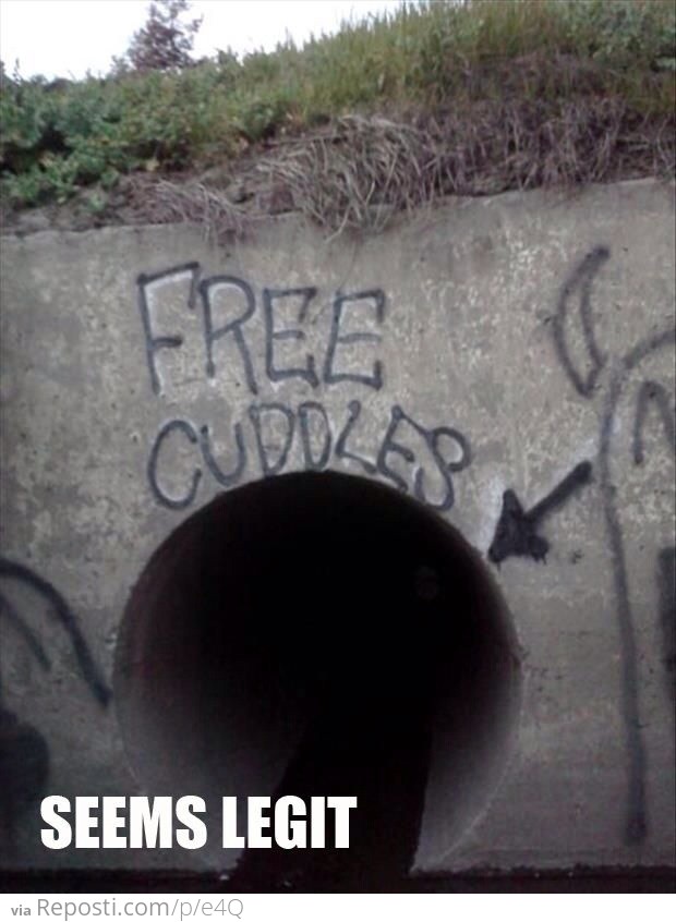 Free Cuddles