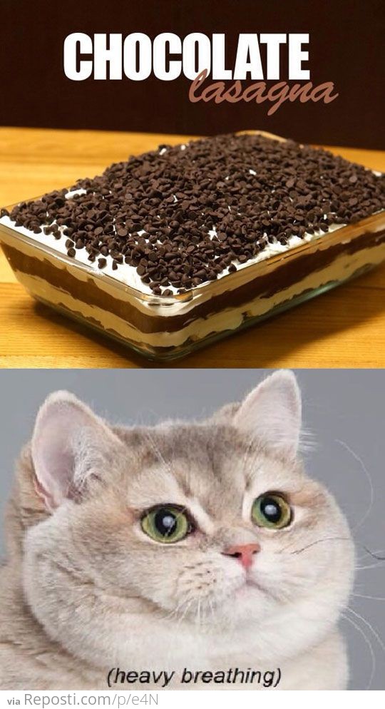 Chocolate Lasagna