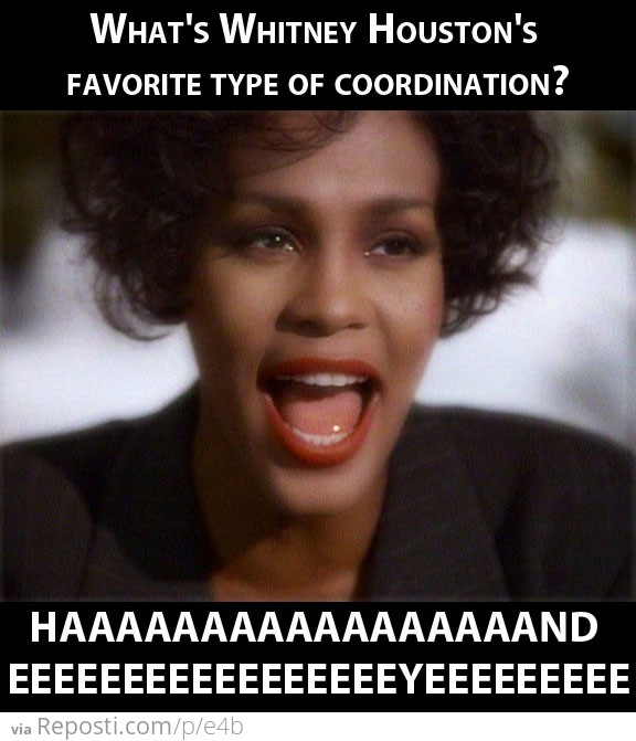 What's Whitney Houston's favorite type of coordination?