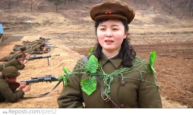 North Korean Camouflage