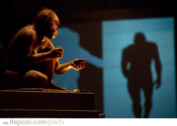 ###Homo habilis
A Homo habilis reconstruction by Daynès at the CosmoCaixa museum in Barcelona.