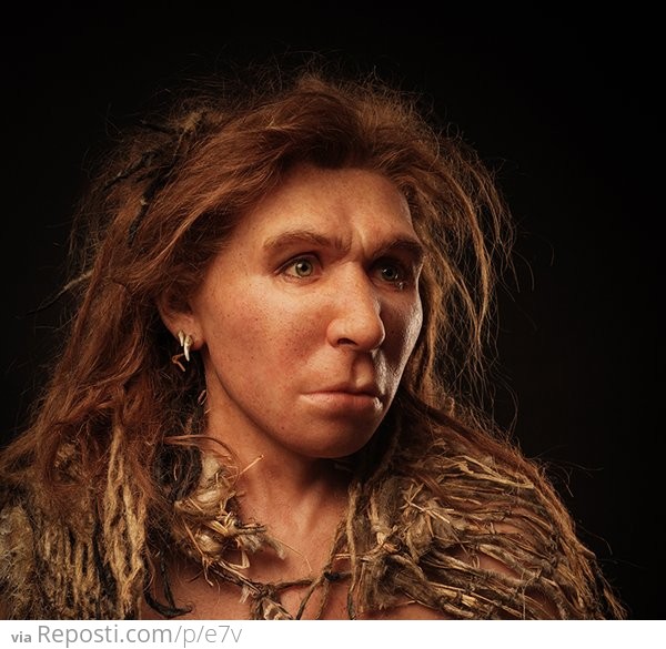 ###Homo neanderthalensis
A reconstruction of a Neanderthal woman from the Saint Césaire site in France.