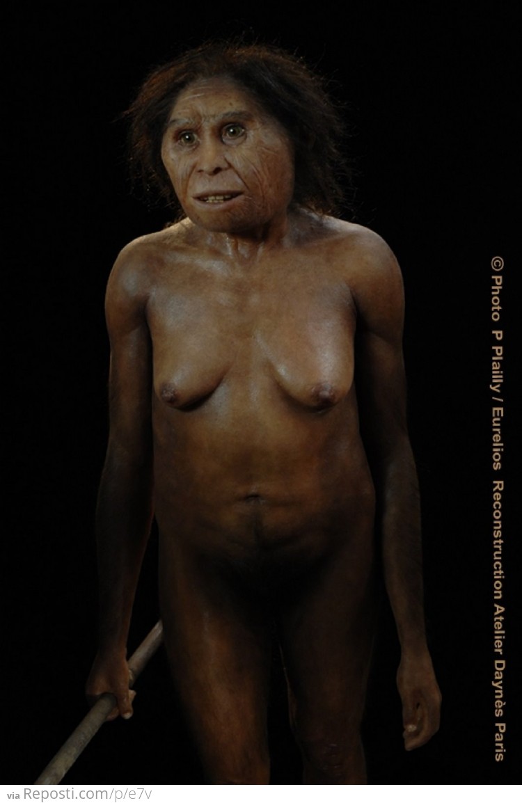 ###Homo floriensis
Reconstruction of a Homo floresiensis female based on the cast of the skull LB1, discovered in 2003 in the Liang Bua cave on the Indonesian island of Flores. This female stood about 1.06 meters high and lived around 18,000 years ago.