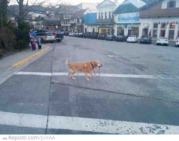 Walking Himself