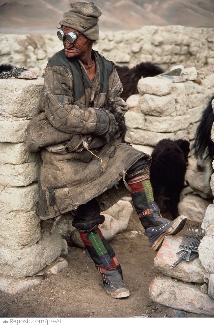 Tibetan Nomad