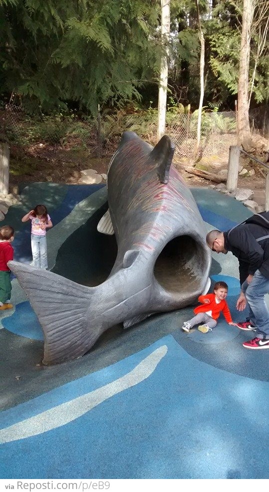 The Salmon Slide....