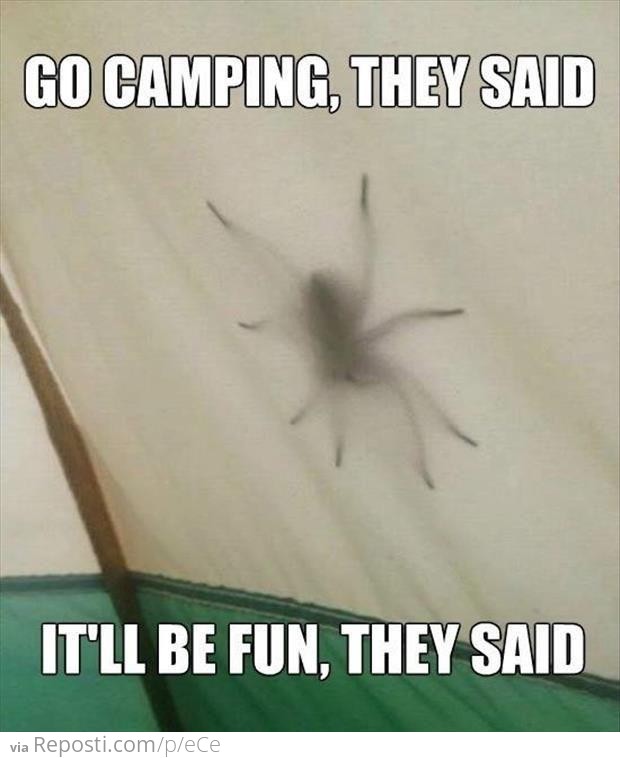 Go Camping