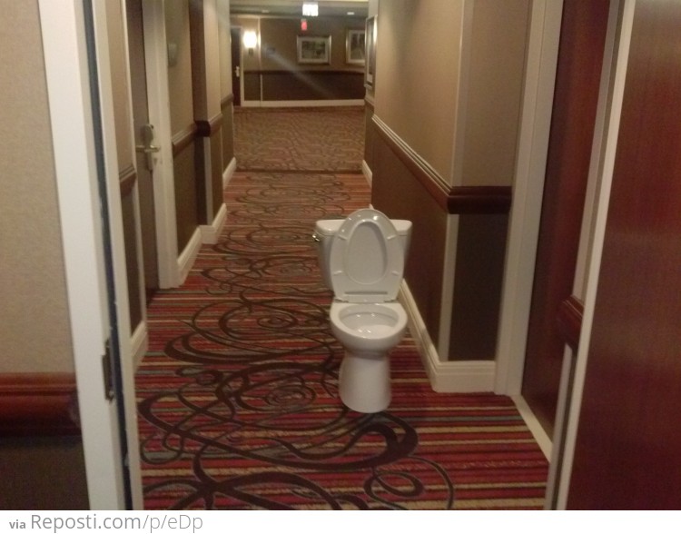 "Stay at the Hilton", they said. "It will be classy", they said.