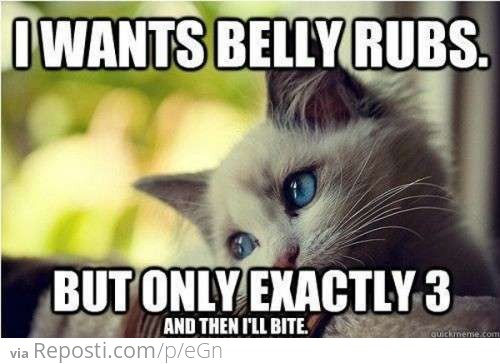 I want belly rubs