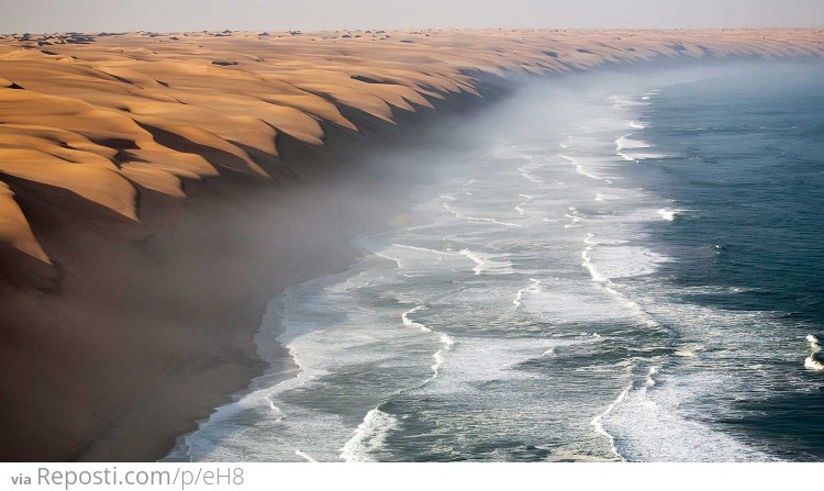 Where the Namib desert meets the sea