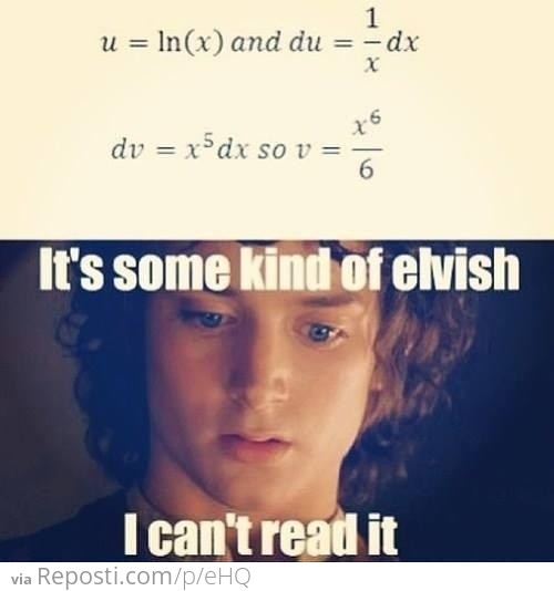 Math Finals