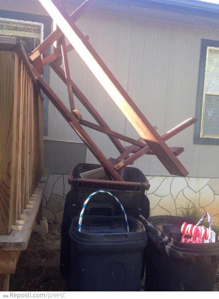 Throwing out the picnic table