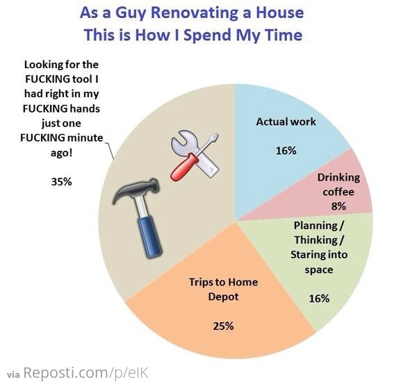 Home renovation: time spent pie chart