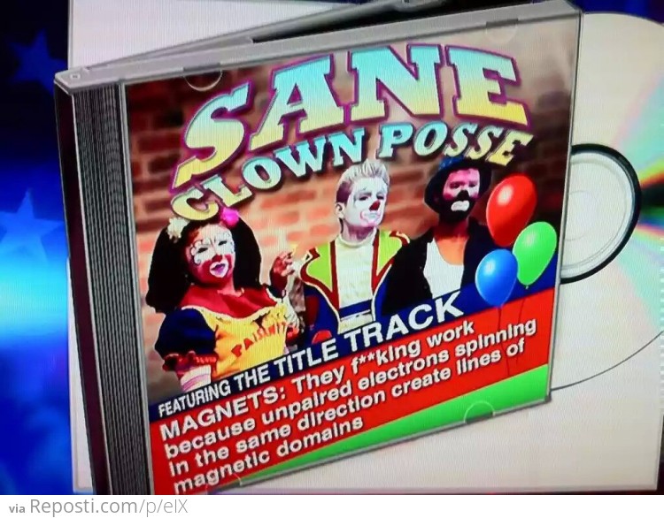 Sane Clown Posse