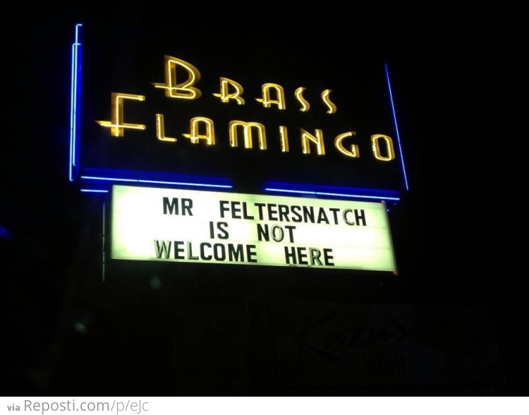 Mr Feltersnatch