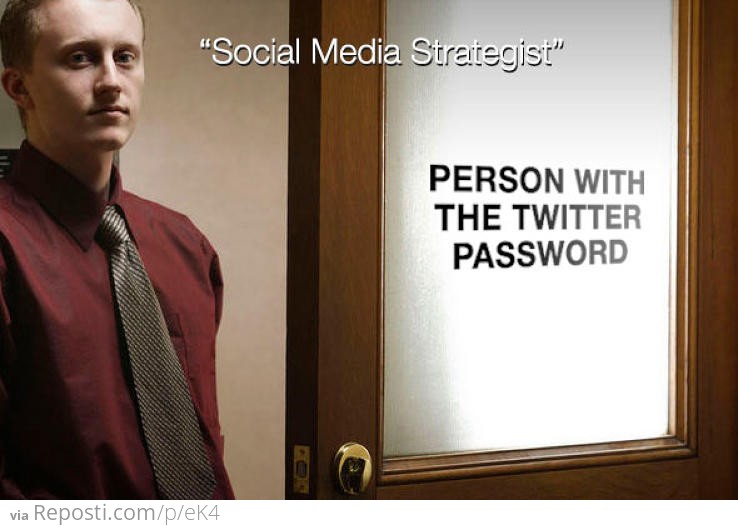 "Social Media Strategist"