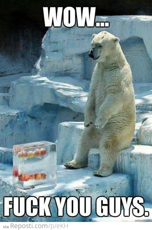 Polar bears have feelings too you know...