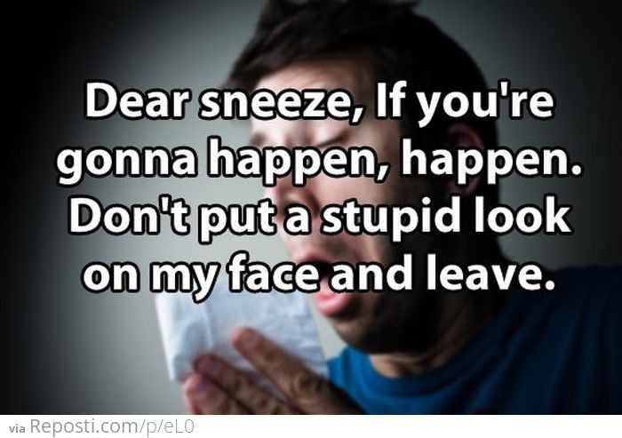Dear Sneeze