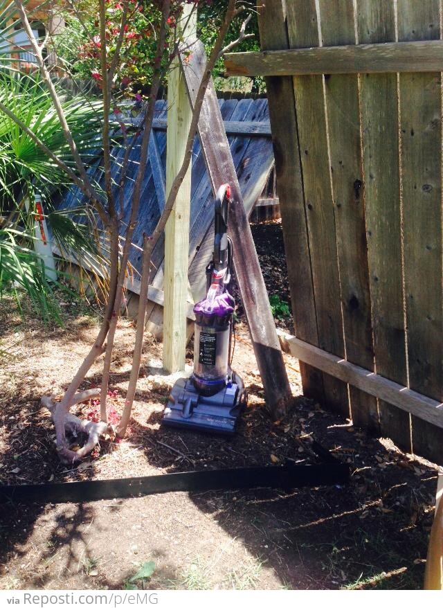 How I kept my dog from leaving through our broken fence