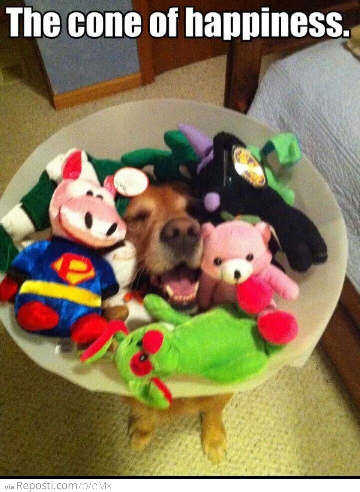 The cone of happiness