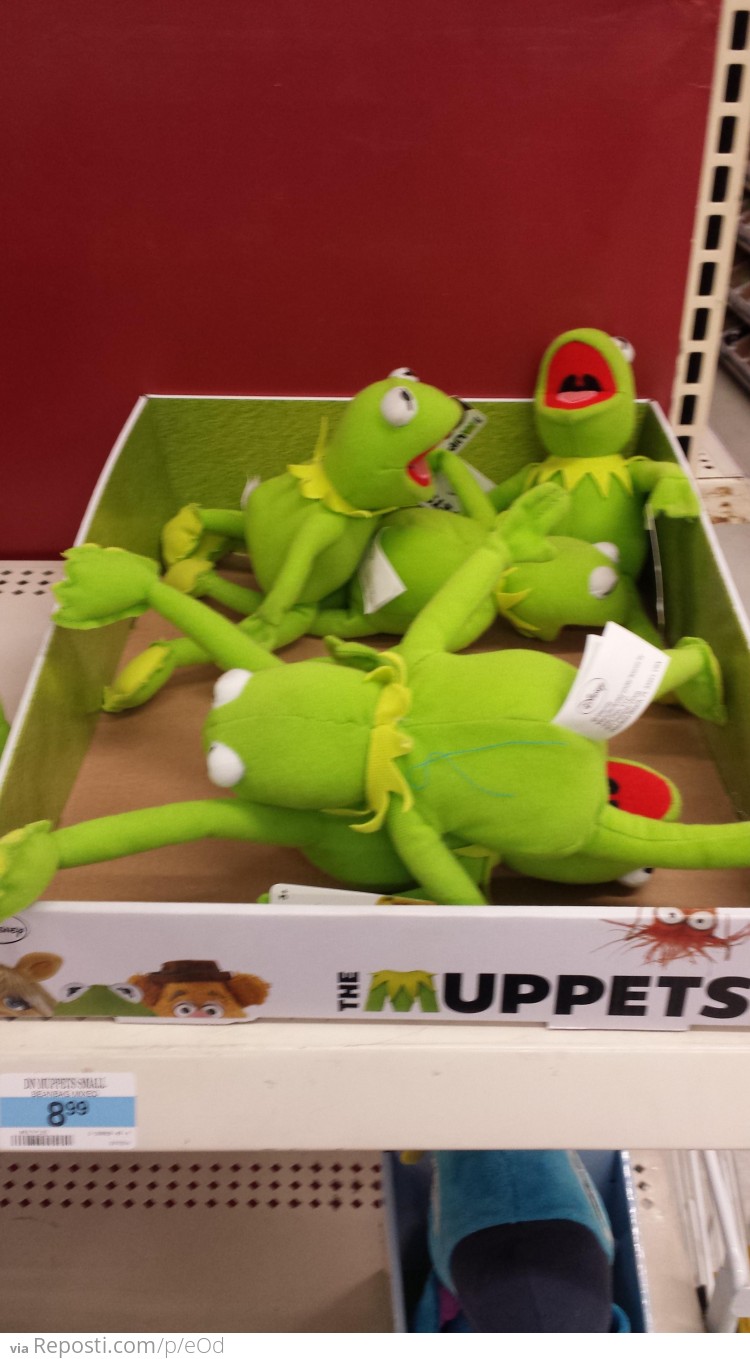 Kermit Party