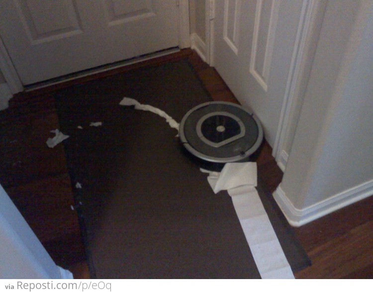 Bad Roomba! Bad!