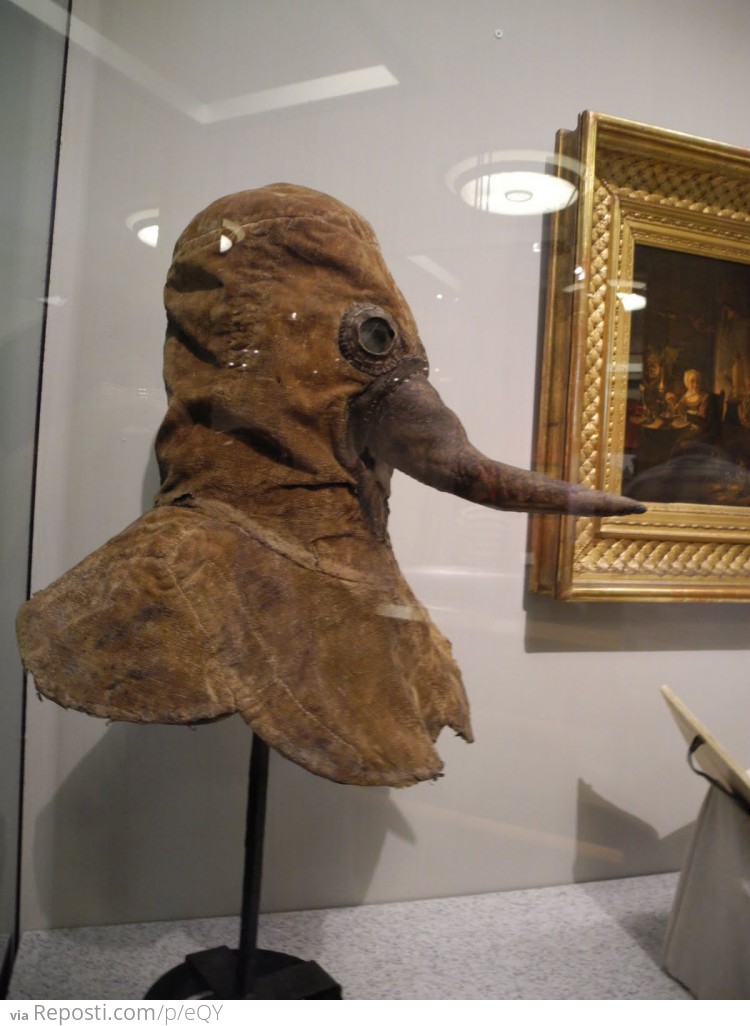 Plague doctor's mask