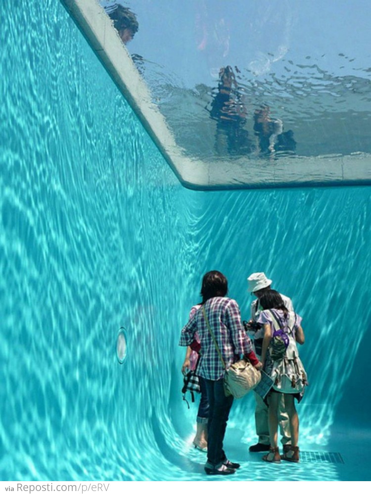 Inside a Swimming Pool