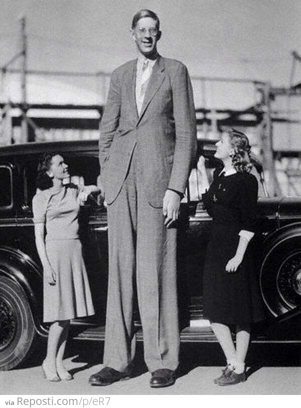 Robert Wadlow