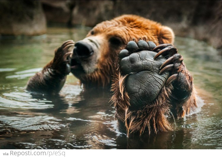 Relaxing bath