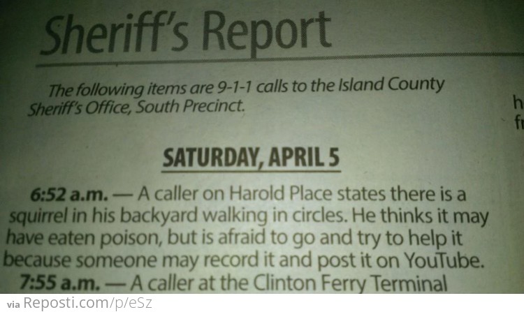 Sheriff's Report