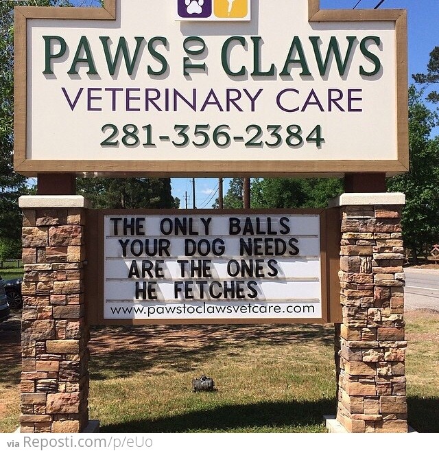 Veterinary clinic