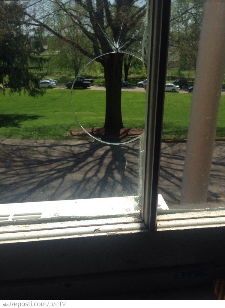 Someone threw a rock at my dorm window