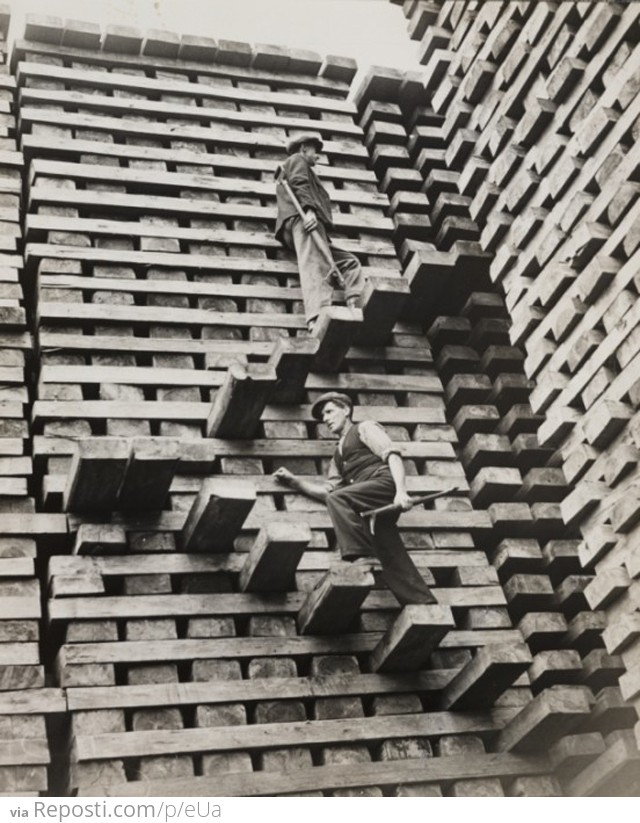 Seattle Cedar Mill, 1919