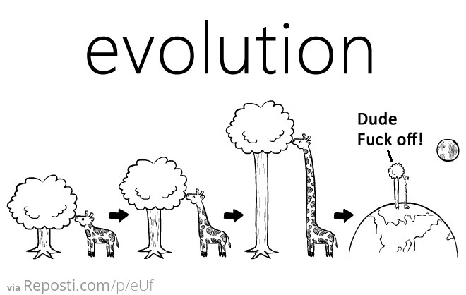 Evolution