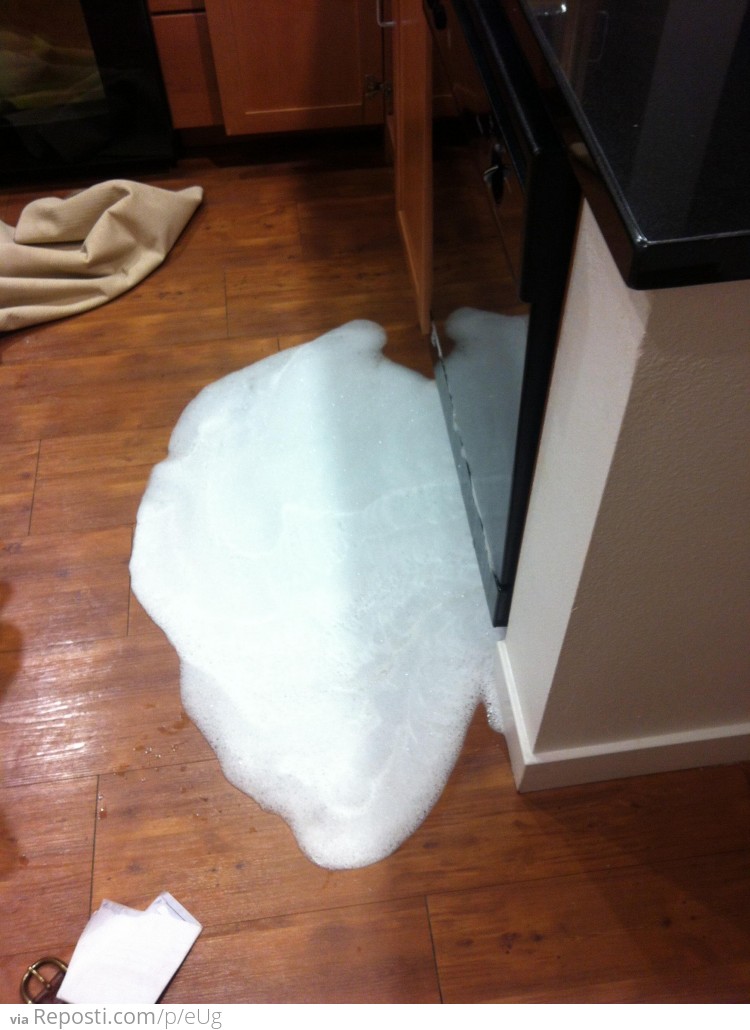 Dish soap is, NOT interchangeable with dishwasher soap