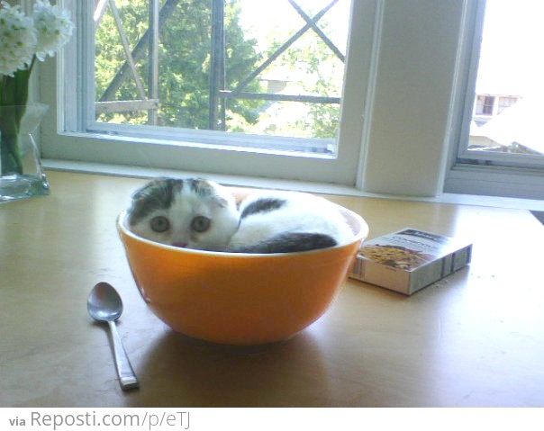 I is a soup?