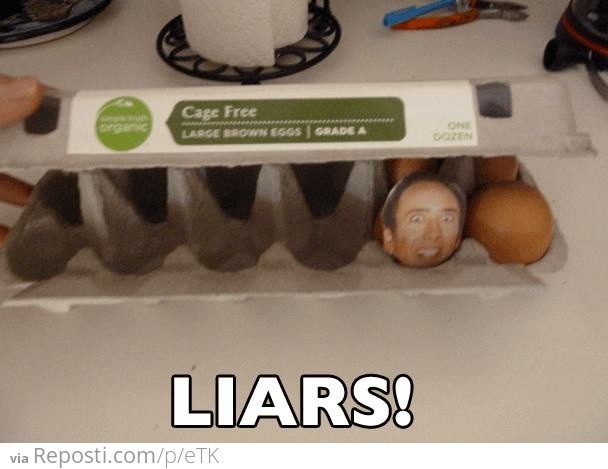 Liars!