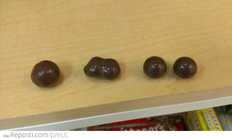 Malteser Mitosis