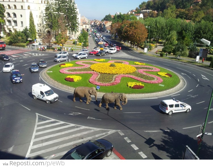 Brasov, Romania